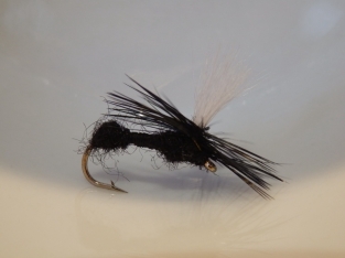 Size 12 Black Ant Parachute